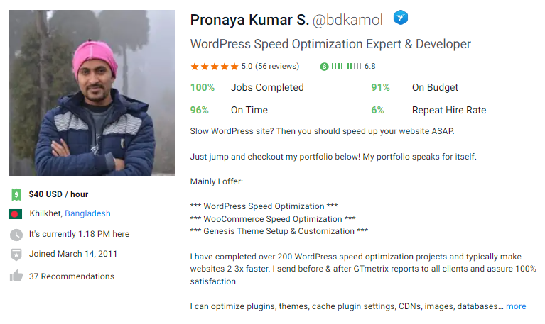 Pronaya wordpress speed optimizer