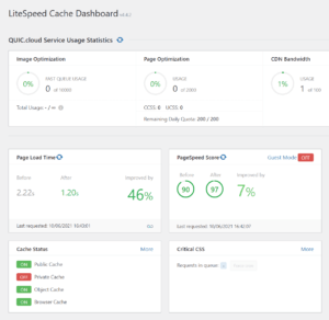 The Ideal LiteSpeed Cache Settings With QUIC.cloud [2025]
