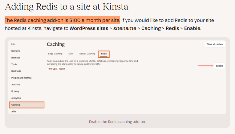 Kinsta redis $100